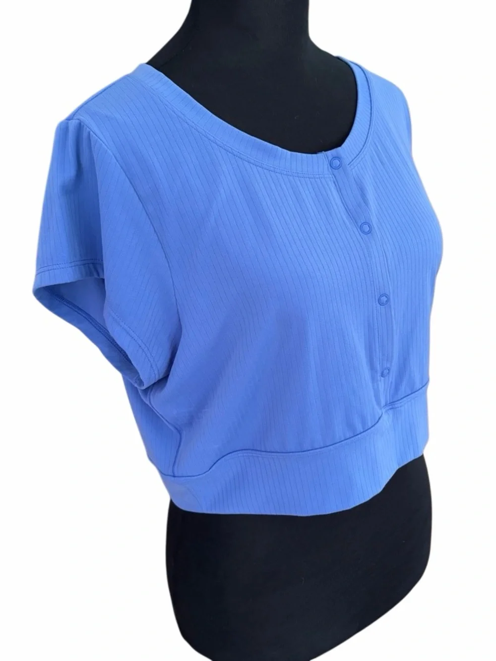 aerie Ribbed Henley Crop Top in Periwinkle Blue size L.